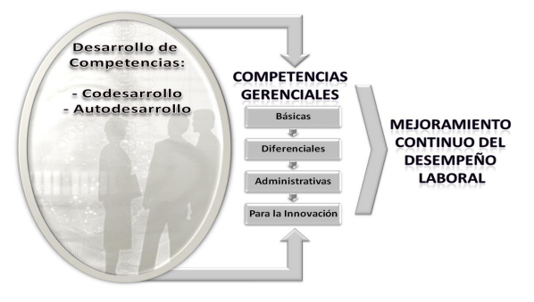 Competencias Gerenciales para el mejoramiento continuo del
desempeño laboral. 