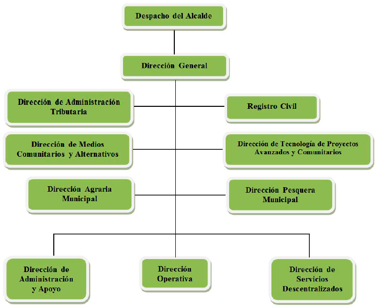 Grafico 5